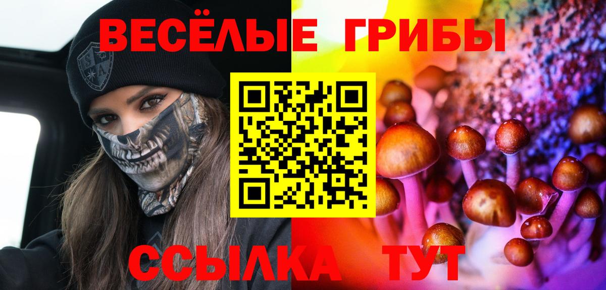 Псилоцибиновые грибы прущие грибы Таганрог